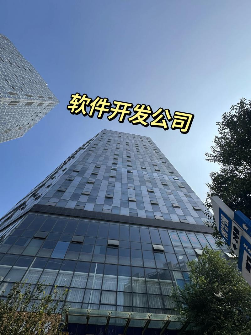 深圳软件开发：行业趋势解读